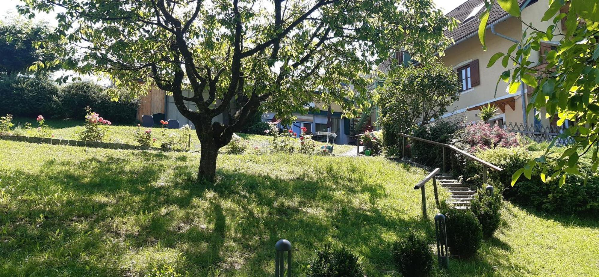 Ferienwohnungen Soravia Gamlitz Εξωτερικό φωτογραφία